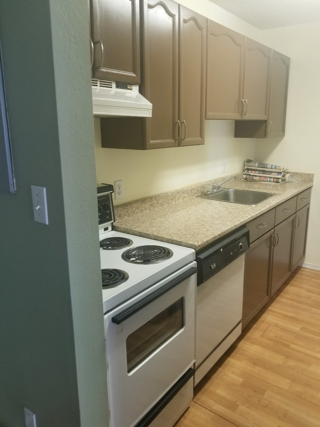 2Bedroom Apartment close to Downtown Duncan Long Term Rentals