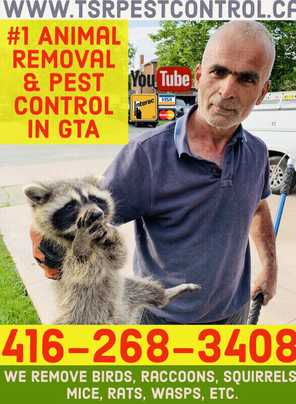 TSR WILDLIFE REMOVAL & PEST CONTROL RACCOON SQUIRREL MICE RATS in Other in City of Toronto - Image 2