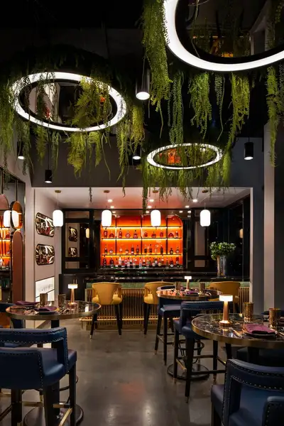 Line Cook - South Indian Restaurant, View more