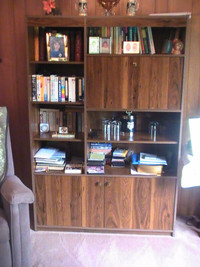 Large Wooden Bookshelf with Bar Cabinet (West Toronto)