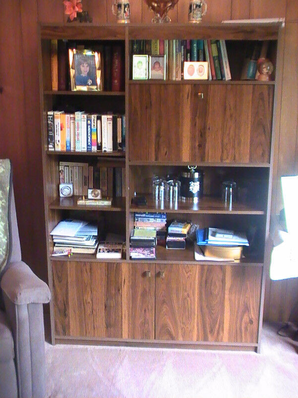 Large Wooden Bookshelf with Bar Cabinet (West Toronto) in Bookcases & Shelving Units in Oakville / Halton Region