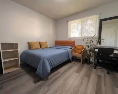 Room for Rent in Scarborough Near Hwy 401 & Toronto Zoo| Near university of Toronto Scarbouge only 2...