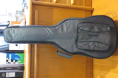 Guitar Case, View more