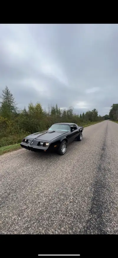 1980 trans am T top for sale great shape has new paint job new freshly rebuilt 350 bored .30 over so...