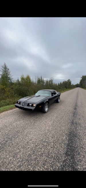 1980 Pontiac Trans Am