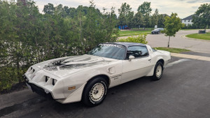 1981 Pontiac Trans Am