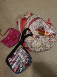 Backpack / purse lot