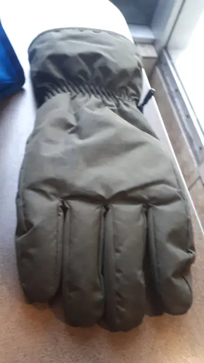 Lost glove left at Corona Tim Hortons, View more