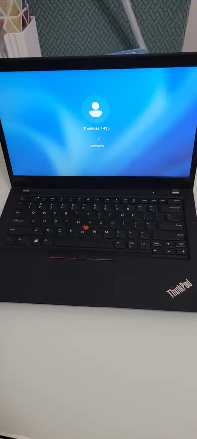 Lenovo ThinkPad T495, View more