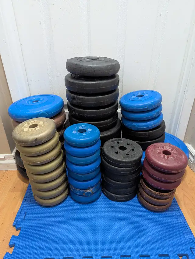 vinyl weight plates $0.50/lbs in Exercise Equipment in Delta/Surrey/Langley - Image 2