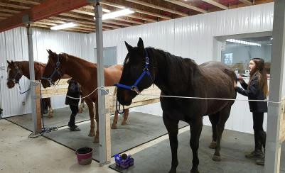 ACCEPTING NEW STUDENTS NOW: Mar/Apr Weekly Horse Riding Lessons dans Cours  à Comté de Strathcona - Image 3