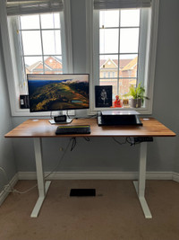 Electronic Standing Desk New