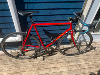 1993 Specialized Allez Road Bike | SRAM Rival carbon components