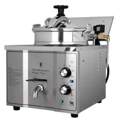 110V 16L Electric High Pressure Fryer Chicken Stove Oven 022262, View more
