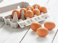 Farm fresh , free range eggs ! 