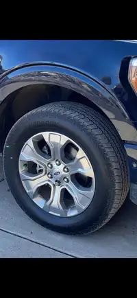 2023 Ford F150 Platinum Rims and Tires 