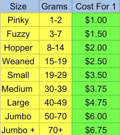 ASF feeders, View more