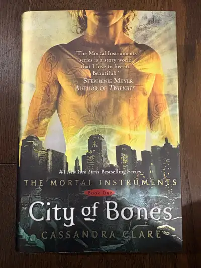 The Mortal Instruments Hardcover Collection – 6 Books, View more