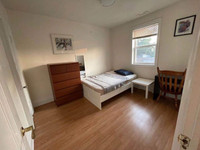 DOWNTOWN TORONTO SPACIOUS ROOM （Text Message Only）