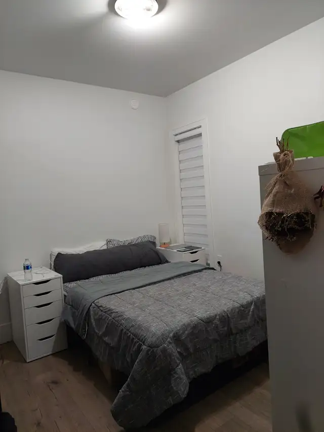 NEW 1 BEDROOM 1 BATH Basement Suite near Brentwood Mall Burnaby