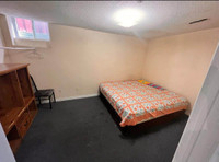Rooms and basement available brampton