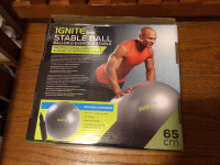 Ignite Stability Ball Kit