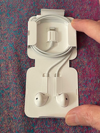 Apple wired EarPods + official carrying case