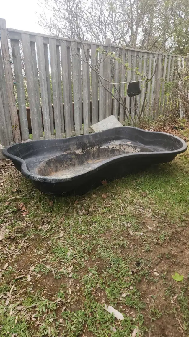 fish pond in Other in Mississauga / Peel Region - Image 2