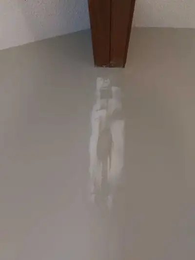 Painting and Drywall Services Regina Area, View more