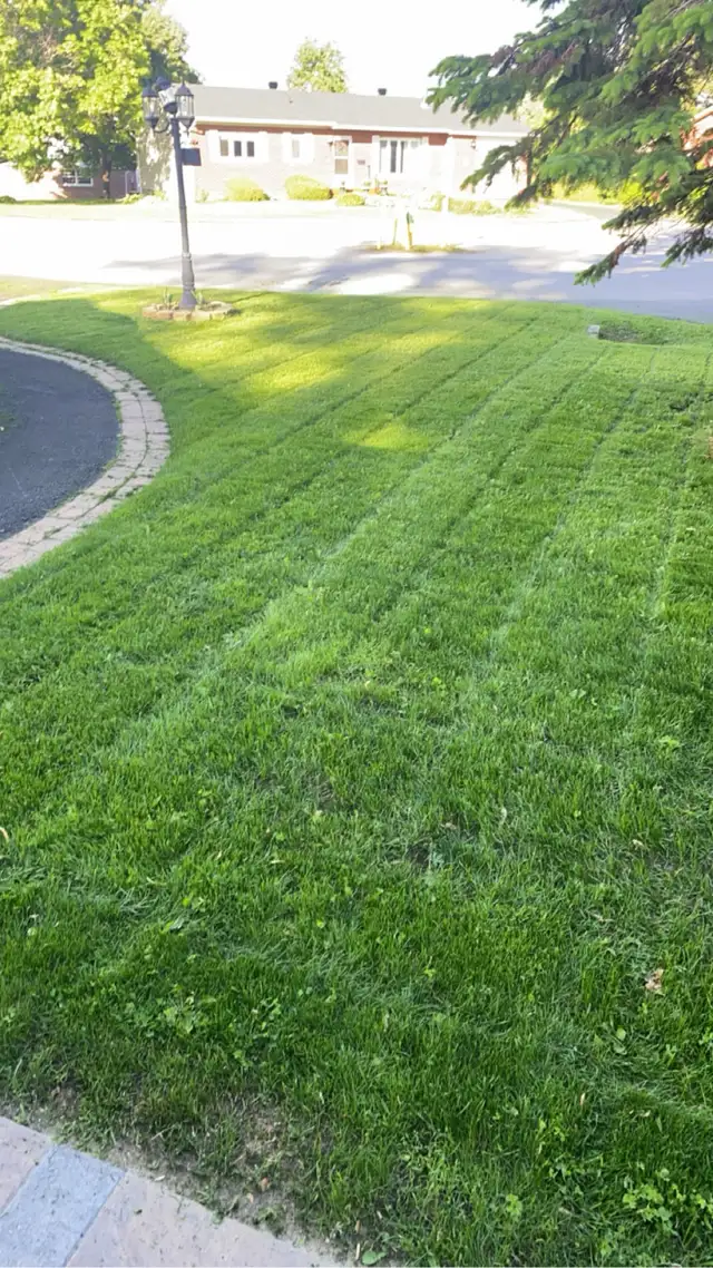Landscaping & Junk Removal426574181534289923