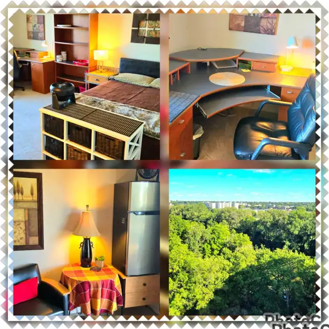 SHARED EXECUTIVE ACCOMMODATION:FURNISHED-MAY 1