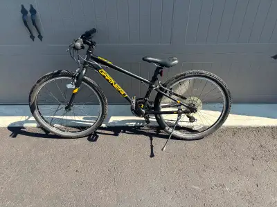 Louis Garneau atom 24 youth bike, View more