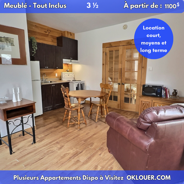 APPARTEMENT TOUT INCLUS-MEUBLÉ, 1 CHAMBRE 3 1/2 A SAINT-ROCH