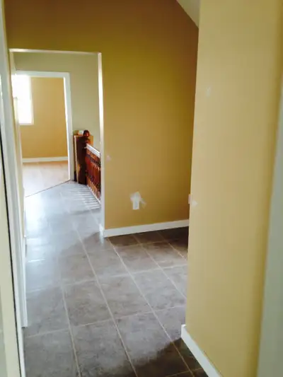 Drywall/Stucco/Parging/Painting 30 Years Experienced Tradesman, View more