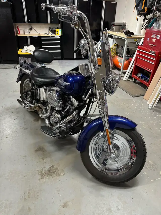 2006 Harley Fatboy in Street, Cruisers & Choppers in Kamloops - Image 2