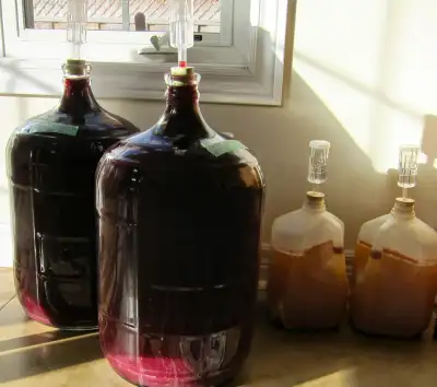 - grape and apple press DIY - floor wine corker and a small one for beer caps - 5 and 6 gal carboys...