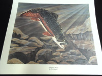 Tom Spatafore Trout Hand Signed and Numbered Print