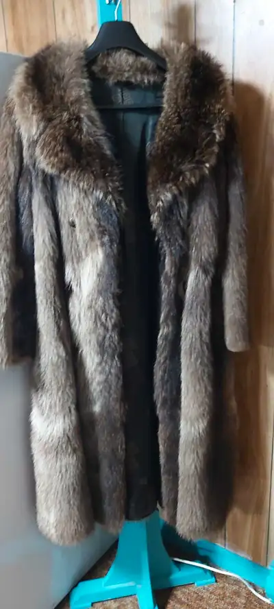 Manteau chat sauvage brun, View more