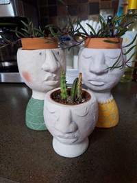 Cute Succulent Plant Pots
