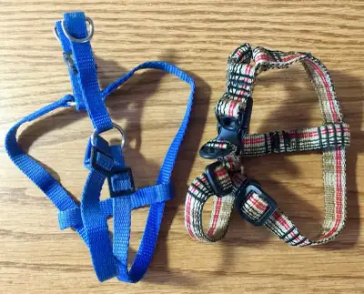 2 harnais usagés $5 chacun le bleu fait 8 pouces de corps et l'autre jusqu'à 10 pouces. 418-262-8290