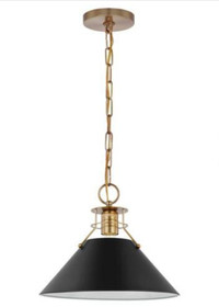 Satco Nuvo Outpost 1 light med pendant, matte black w brass, new