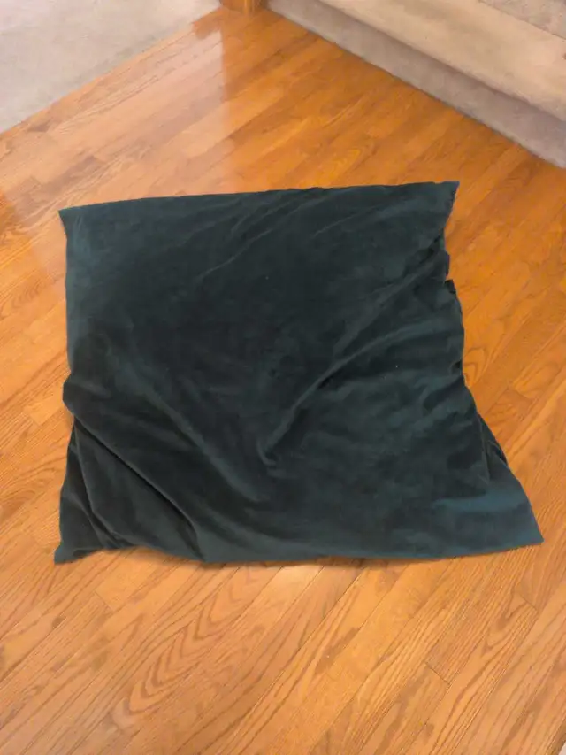 Extra Large Bean Bag Pillow