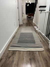 EQ3-Hallway Runner Rug X2