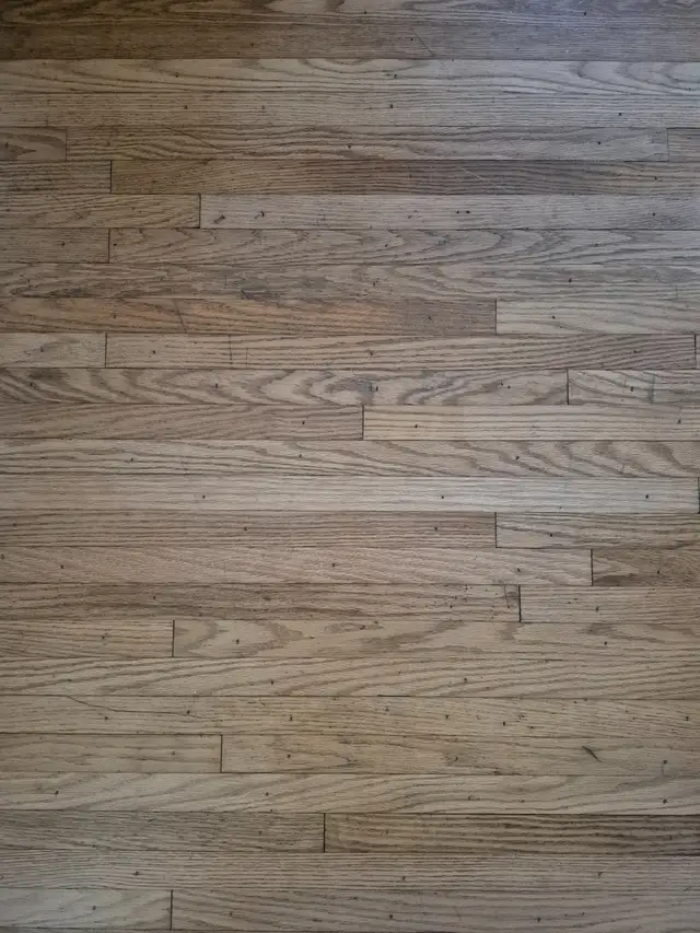 Doors,floors and more.64551245854466122