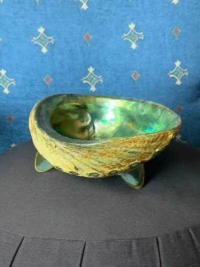 Vintage Seashell - circa 1960, View more