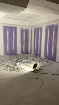 Drywall Tapping Sanding 