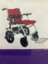 Travel buggy chair