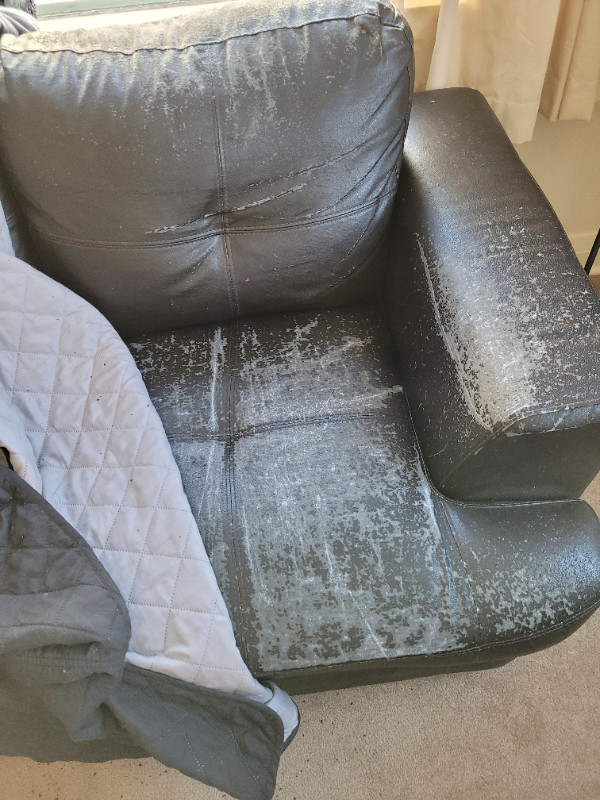 Free couch and loveseat in Free Stuff in Winnipeg - Image 2