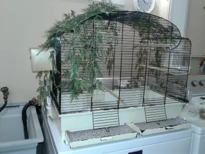 Grande cage d'oiseaux -  Large bird flight cage, View more