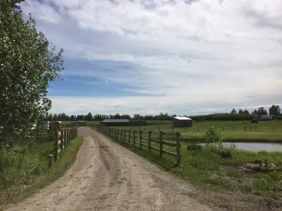 Horse Boarding Springbank Calgary, View more